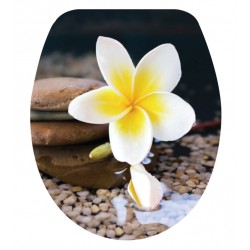 Καπάκι Λεκάνης Με Λουλούδι και Βότσαλο