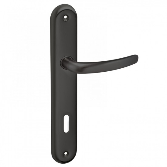 Πόμολα Πόρτας Χειρολαβή με Πλάκα C605 σε Μαύρο Ματ