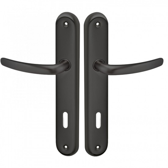 Πόμολα Πόρτας Χειρολαβή με Πλάκα C605 σε Μαύρο Ματ