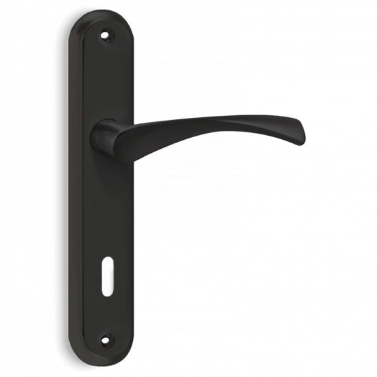 Πόμολα Πόρτας Χειρολαβή με Πλάκα C805 σε Μαύρο Ματ