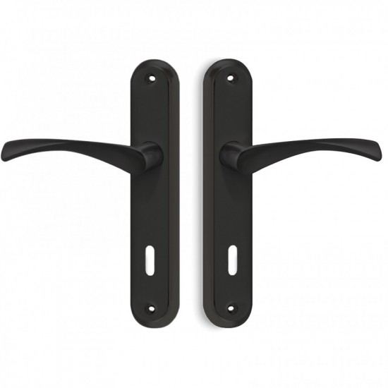 Πόμολα Πόρτας Χειρολαβή με Πλάκα C805 σε Μαύρο Ματ