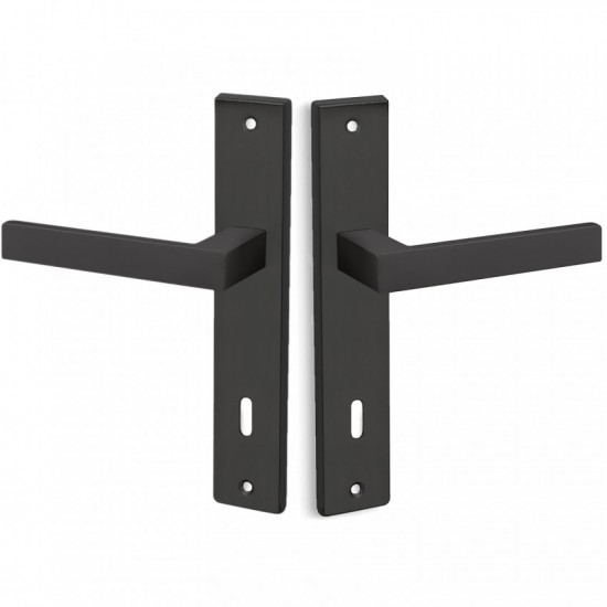 Πόμολα Πόρτας Χειρολαβή με Πλάκα C875 σε Μαύρο Ματ
