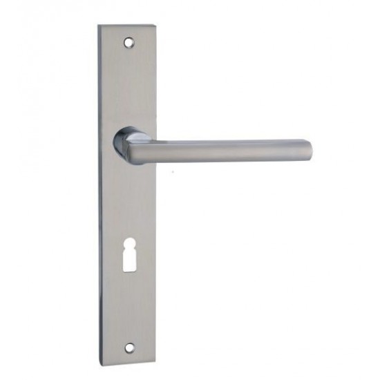 Πόμολο πόρτας χειρολαβή με Πλάκα - ART.080056  Νίκελ Ματ