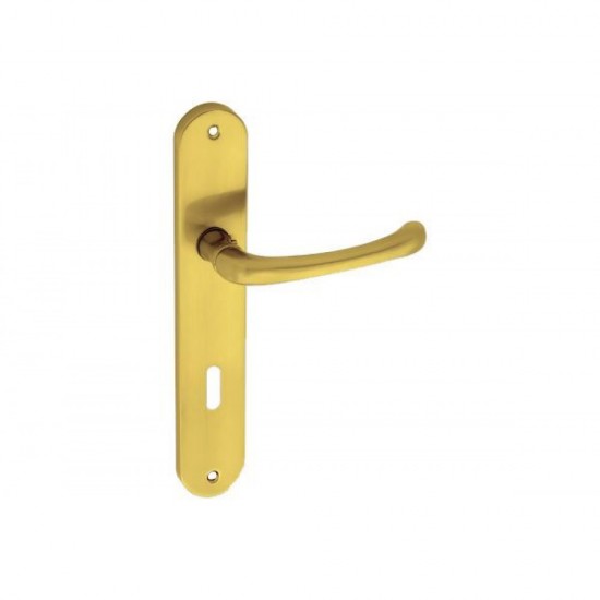 Πόμολο πόρτας χειρολαβή με Πλάκα 215 Χρυσο Ματ