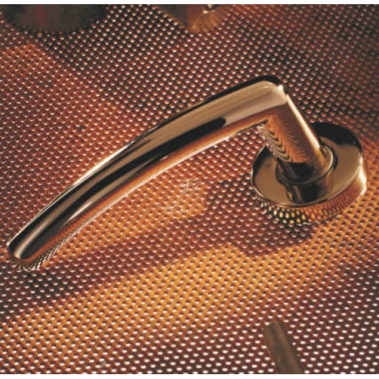 Πόμολο πόρτας χειρολαβή με ροζέτα 304 Όρο